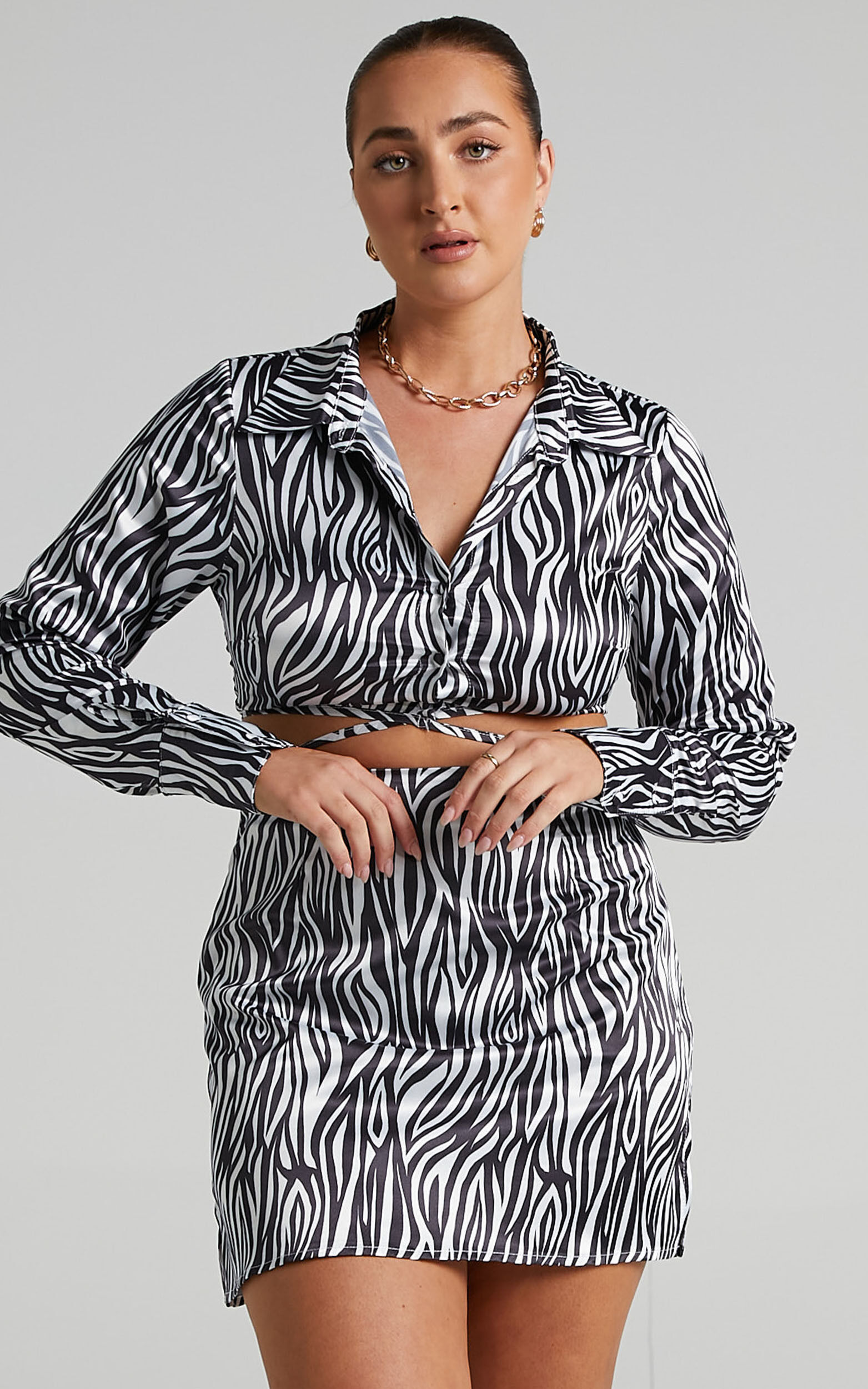 Zebra shirt and skirt store
