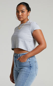 Danzel Top - Boxy Fit Cap Sleeve Crop Top in Grey