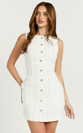 Neri Mini Dress - High Neck Button Through Stripe Dress in White Stripe ...