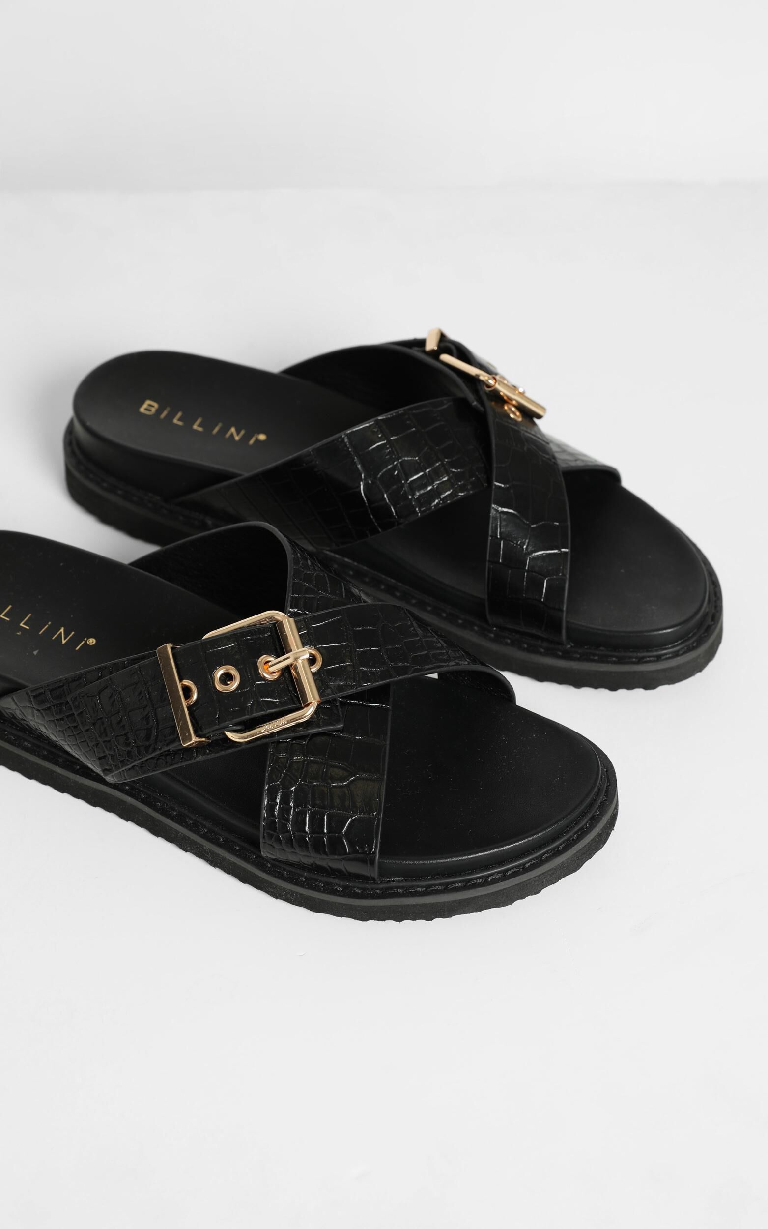 Billini zayla outlet