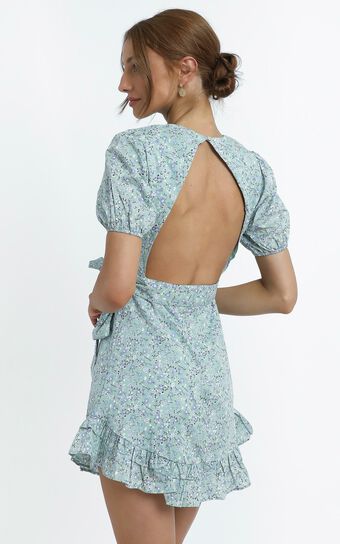 Tiana Dress in Sage Floral