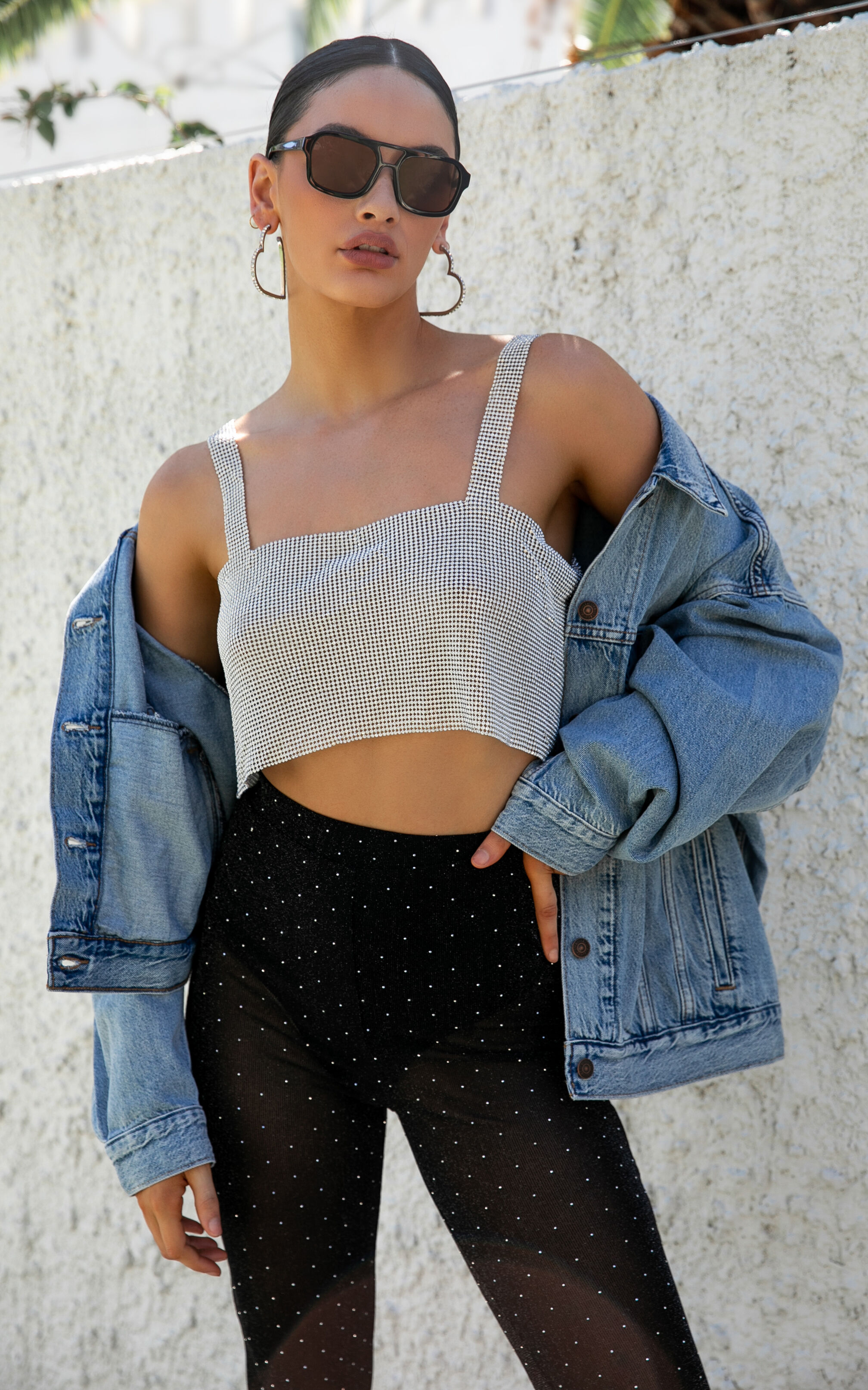 Silver mesh crop top top