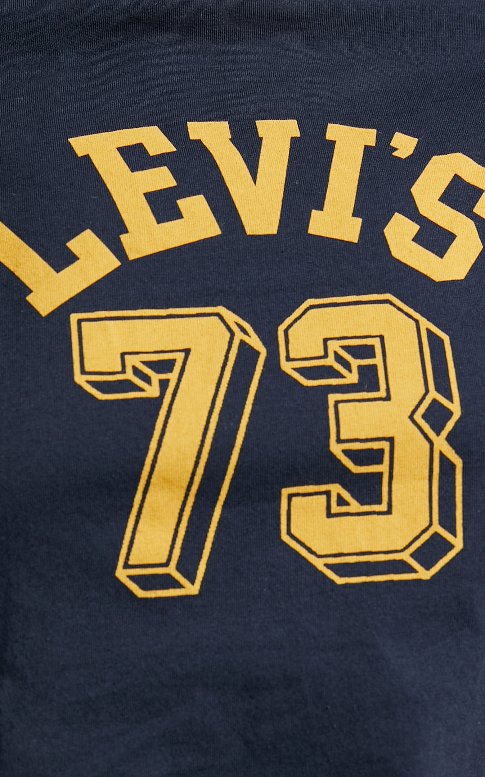 Levis 73 2025